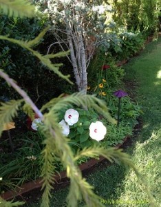 Feather Tree-tiny